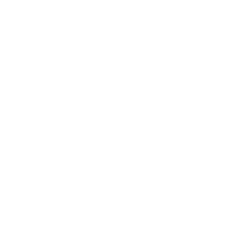 Sagesure_Logo_White